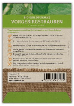 Einlegegurke Vorgebirgstrauben (100 Stück) | BIO Gurkensamen Von FLORTUS -Angebote Samenhaus Store 549894 BIO Einlegegurke Vorgebirgstrauben 100 Stueck 2000 0511 100x 2