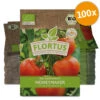 Tomate Moneymaker (100 Stück) | BIO Tomatensamen Von FLORTUS