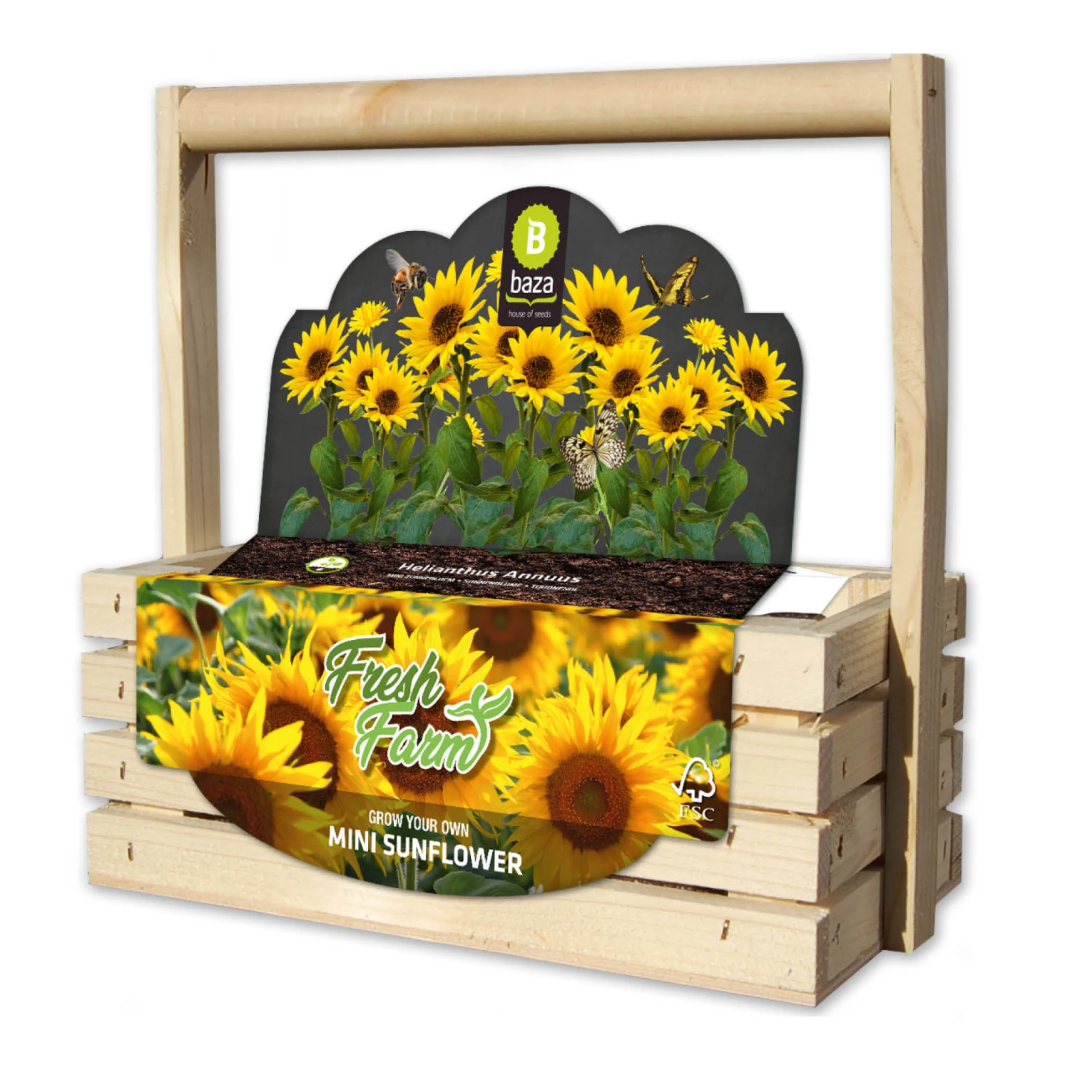 Fresh-Farm Sonnenblume Mini | Anzuchtsets Von Baza 1 Fresh-Farm Sonnenblume Mini | Anzuchtsets Von Baza