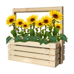 Angebote Samenhaus Store -Angebote Samenhaus Store 550251 Fresh Farm Sonnenblume Mini 7025130 bz 1