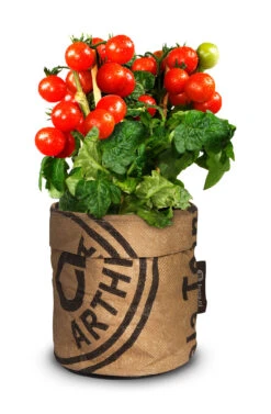 Ausgewählte Produkte 16 Greensquad Snack-Tomaten | Anzuchtsets Von Baza