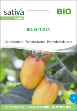 Ausgewählte Produkte -Angebote Samenhaus Store 551677 BIO Datteltomate Blush Tiger to98 sr 0