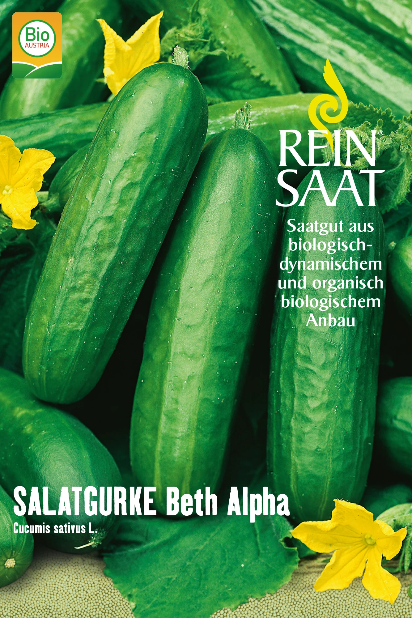 Salatgurke Beth Alpha | BIO Salatgurkensamen Von Reinsaat 1 Salatgurke Beth Alpha | BIO Salatgurkensamen Von Reinsaat