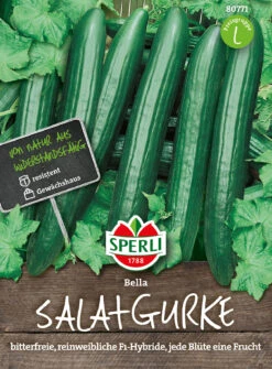 Salatgurke Bella F1-Hybride | Gurkensamen Von Sperli