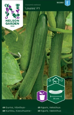 Gurke Louisa F1 | Gurkensamen Von Nelson Garden