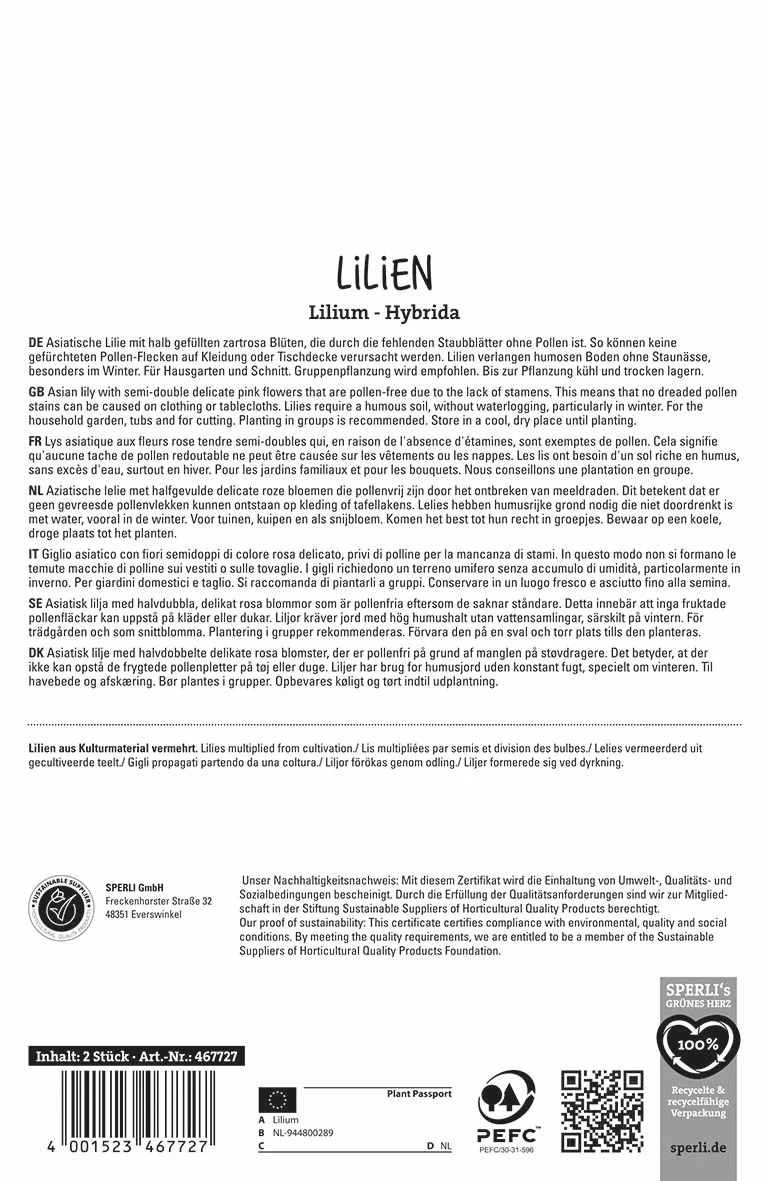 Lilie Elodie (2 Stück) | Lilienzwiebeln Von Sperli 2 Lilie Elodie (2 Stück) | Lilienzwiebeln Von Sperli – Bild 2