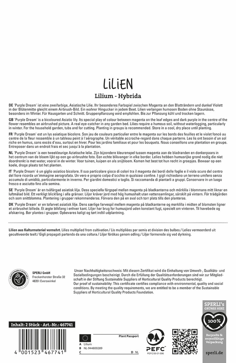 Lilie Purple Dream (2 Stück) | Lilienzwiebeln Von Sperli 2 Lilie Purple Dream (2 Stück) | Lilienzwiebeln Von Sperli – Bild 2