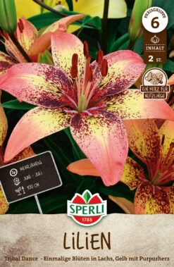 Lilie Tribal Dance (2 Stück) | Lilienzwiebeln Von Sperli