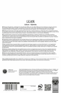 Lilie Hachi (2 Stück) | Lilienzwiebeln Von Sperli