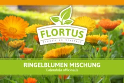 Ringelblumen Mischung | Blumenwiese Von FLORTUS 13 Ringelblumen Mischung | Blumenwiese Von FLORTUS -Angebote Samenhaus Store 554533 Ringelblumen Mischung 1 kg 530747 Ringelblumen Mischung 1 kg 2000 0209 2