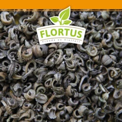 Ringelblumen Mischung | Blumenwiese Von FLORTUS 9 Ringelblumen Mischung | Blumenwiese Von FLORTUS -Angebote Samenhaus Store 554533 Ringelblumen Mischung 1 kg 530747 Ringelblumen Mischung 1 kg 2000 0209 6