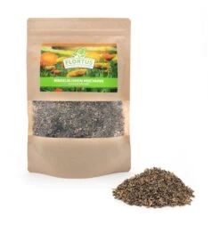 Ringelblumen Mischung | Blumenwiese Von FLORTUS 10 Ringelblumen Mischung | Blumenwiese Von FLORTUS -Angebote Samenhaus Store 554533 Ringelblumen Mischung 2000 0727 0