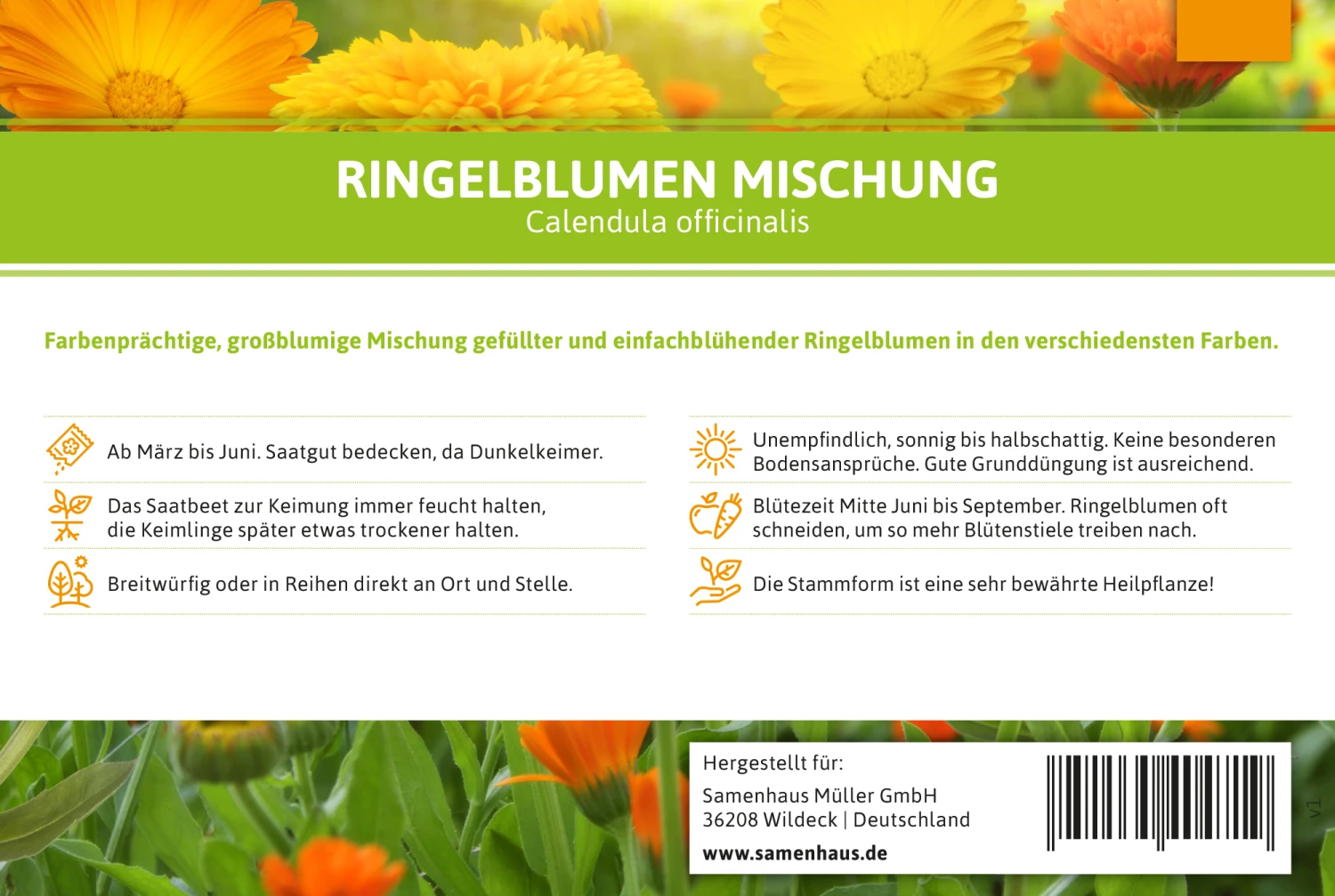 Ringelblumen Mischung | Blumenwiese Von FLORTUS 6 Ringelblumen Mischung | Blumenwiese Von FLORTUS – Bild 6