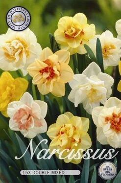 Narzisse Double Mix (15 Stück) | Narzissenzwiebeln Von Sam Van Schooten