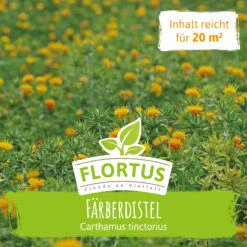 Wiesenblume Färberdistel (100 G) | Färberdistelsamen Von FLORTUS -Angebote Samenhaus Store 558926 Wiesenblume Faerberdistel 100 g 2000 0876 2 1