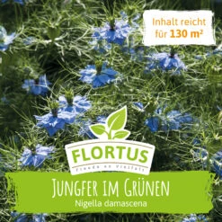 Wiesenblume Jungfer Im Grünen (100 G) | Jungfer Im Grünen Samen Von FLORTUS -Angebote Samenhaus Store 558927 Wiesenblume Jungfer im Gruenen 100 g 2000 0877 0