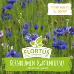 Ausgewählte Produkte -Angebote Samenhaus Store 558929 Wiesenblume Kornblume 100 g 2000 0879 0