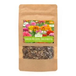 Wiesenblume Zinnien Mischung Dahlienblütig (100 G) | Zinniensamen Von FLORTUS -Angebote Samenhaus Store 558932 Wiesenblume Zinnie Mischung dahlienbluetig 100 g 2000 0884 100g 1