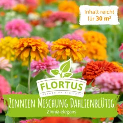 Ausgewählte Produkte -Angebote Samenhaus Store 558932 Wiesenblume Zinnie Mischung dahlienbluetig 100 g 2000 0884 100g 2