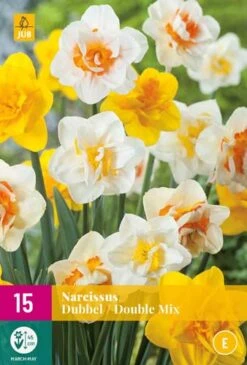 Narzisse Dubbel Mix (15 Stück) | Narzissenzwiebeln Von Jub Holland