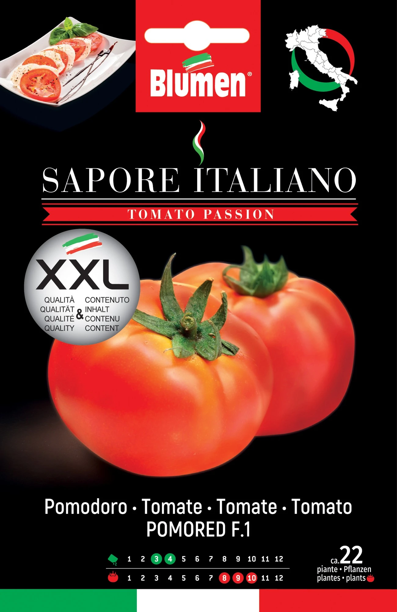 Tomate Sapore Italiano Pomored F1 | Tomatensamen Von BLUMEN Group 1 Tomate Sapore Italiano Pomored F1 | Tomatensamen Von BLUMEN Group