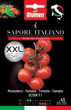 Tomate Sapore Italiano Elisir F1 | Tomatensamen Von BLUMEN Group