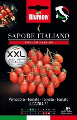 Tomate Sapore Italiano Lucciola F1 | Tomatensamen Von BLUMEN Group
