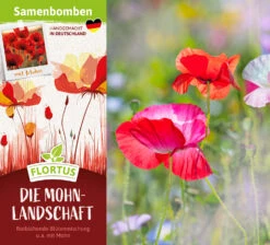 Samenbomben Die Mohnlandschaft (6 Stück) | Mohnsamen Von FLORTUS