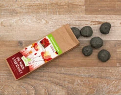 Samenbomben Die Mohnlandschaft (6 Stück) | Mohnsamen Von FLORTUS -Angebote Samenhaus Store 562163 Samenbomben Die Mohnlandschaft 6 Stueck 2000 1054 3