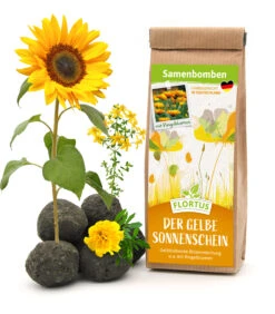Samenbomben Der Gelbe Sonnenschein (6 Stück) | Blumensamenmischung Von FLORTUS -Angebote Samenhaus Store 562164 Samenbomben Der Gelbe Sonnenschein 6 Stueck 2000 1055 1
