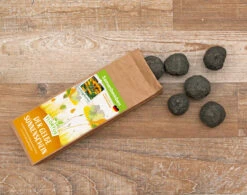 Samenbomben Der Gelbe Sonnenschein (6 Stück) | Blumensamenmischung Von FLORTUS -Angebote Samenhaus Store 562164 Samenbomben Der Gelbe Sonnenschein 6 Stueck 2000 1055 3