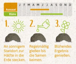 Samenbomben Der Gelbe Sonnenschein (6 Stück) | Blumensamenmischung Von FLORTUS -Angebote Samenhaus Store 562164 Samenbomben Der Gelbe Sonnenschein 6 Stueck 2000 1055 4