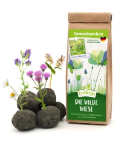 Samenbomben Die Wilde Wiese (6 Stück) | Wildblumenwiese Von FLORTUS 9 Samenbomben Die Wilde Wiese (6 Stück) | Wildblumenwiese Von FLORTUS -Angebote Samenhaus Store 562168 Samenbomben Die wilde Wiese 6 Stueck 2000 1059 1