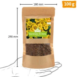 Wiesenblume Mädchenauge (100 G) | Mädchenaugensamen Von FLORTUS 7 Wiesenblume Mädchenauge (100 G) | Mädchenaugensamen Von FLORTUS -Angebote Samenhaus Store 562290 Wiesenblume Maedchenauge 100 g 2000 0880 4