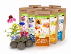 Samenbomben Set (8 Päckchen) | Blumensamenmischung Von FLORTUS -Angebote Samenhaus Store 562498 Samenbomben Set 8 Paeckchen 2000 2367 1