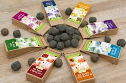 Samenbomben Set (8 Päckchen) | Blumensamenmischung Von FLORTUS -Angebote Samenhaus Store 562498 Samenbomben Set 8 Paeckchen 2000 2367 3