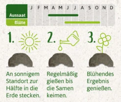Samenbomben Set (8 Päckchen) | Blumensamenmischung Von FLORTUS -Angebote Samenhaus Store 562498 Samenbomben Set 8 Paeckchen 2000 2367 4