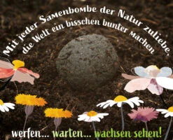 Samenbomben Set (8 Päckchen) | Blumensamenmischung Von FLORTUS -Angebote Samenhaus Store 562498 Samenbomben Set 8 Paeckchen 2000 2367 7 1